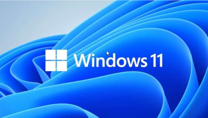 Windows 11