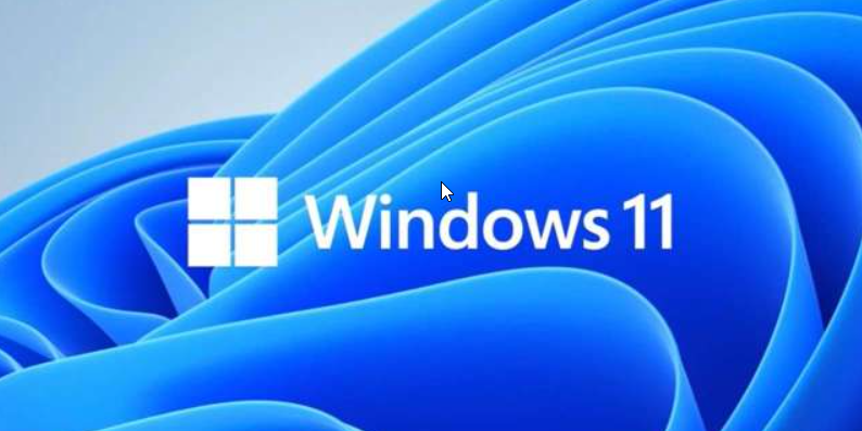 Windows 11